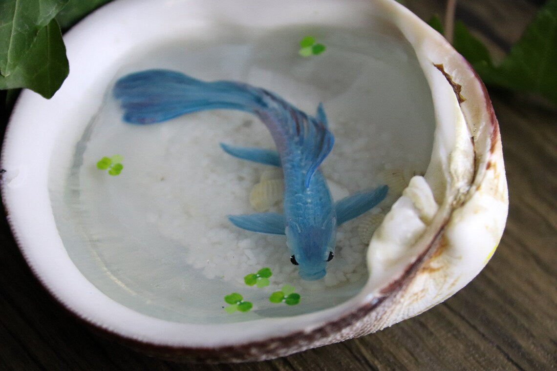 Stereoscopic Painting Blue Koi Int A Strong Shell