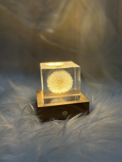 Real Dandelion Cube Resin Night Light