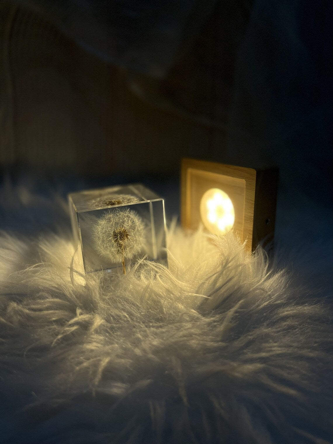 Real Dandelion Cube Resin Night Light