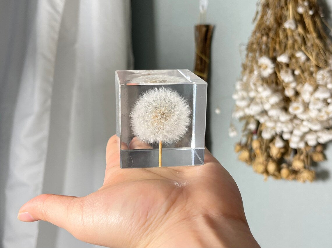 Real Dandelion Cube Resin Night Light