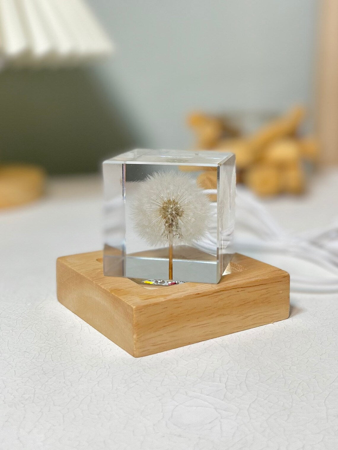 Real Dandelion Cube Resin Night Light