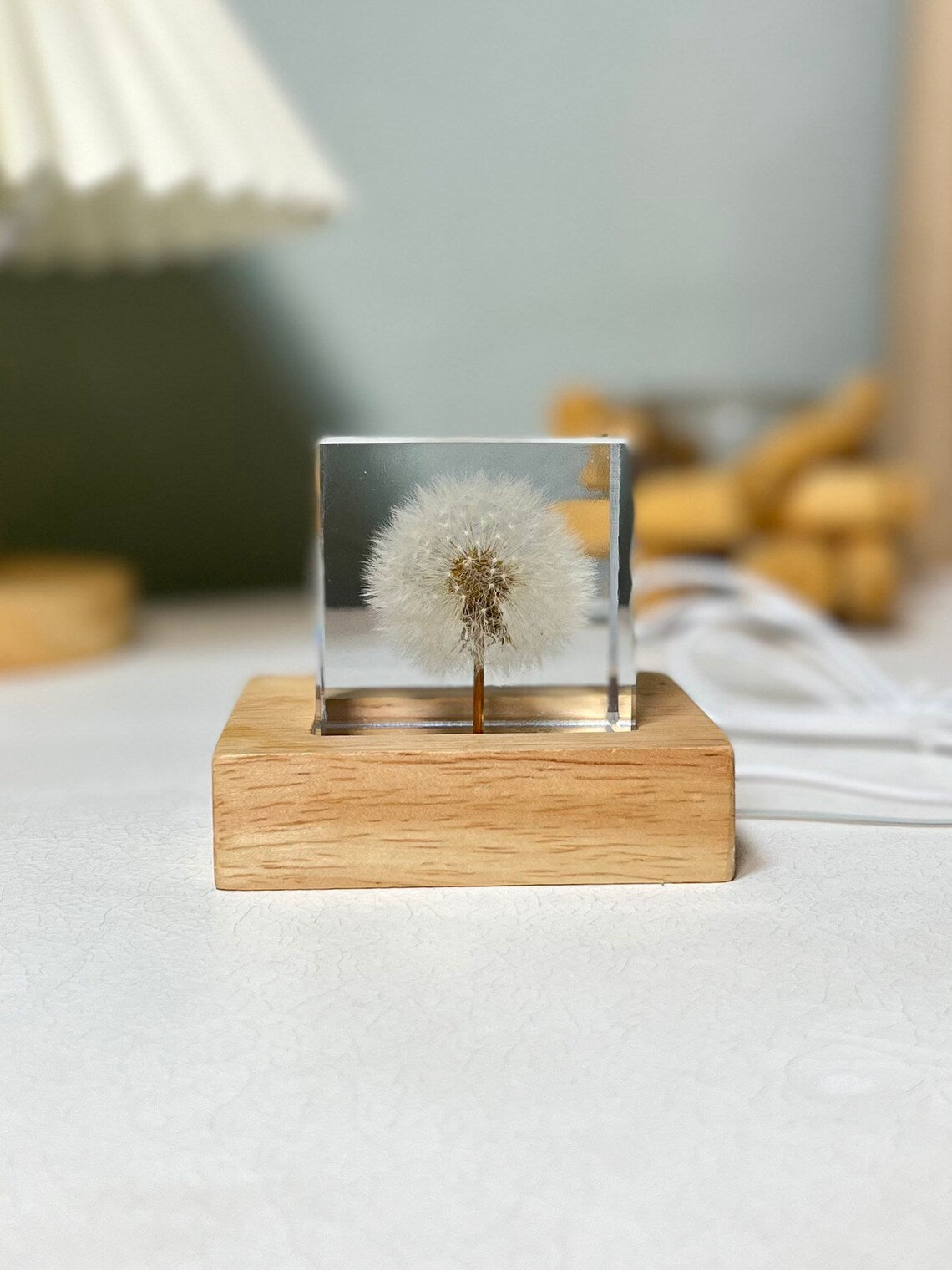 Real Dandelion Cube Resin Night Light