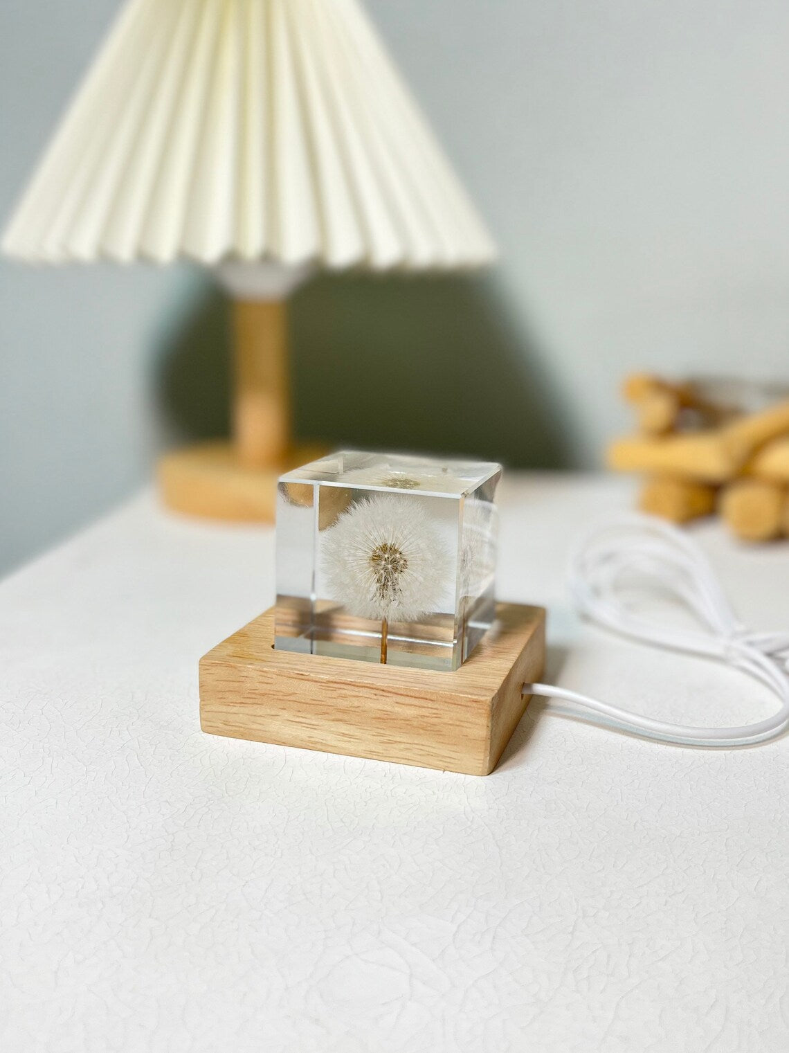 Real Dandelion Cube Resin Night Light