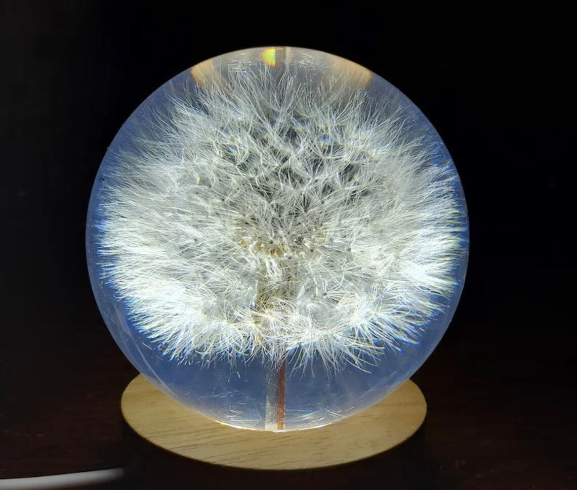 Real Dandelion Ball Resin Night Light