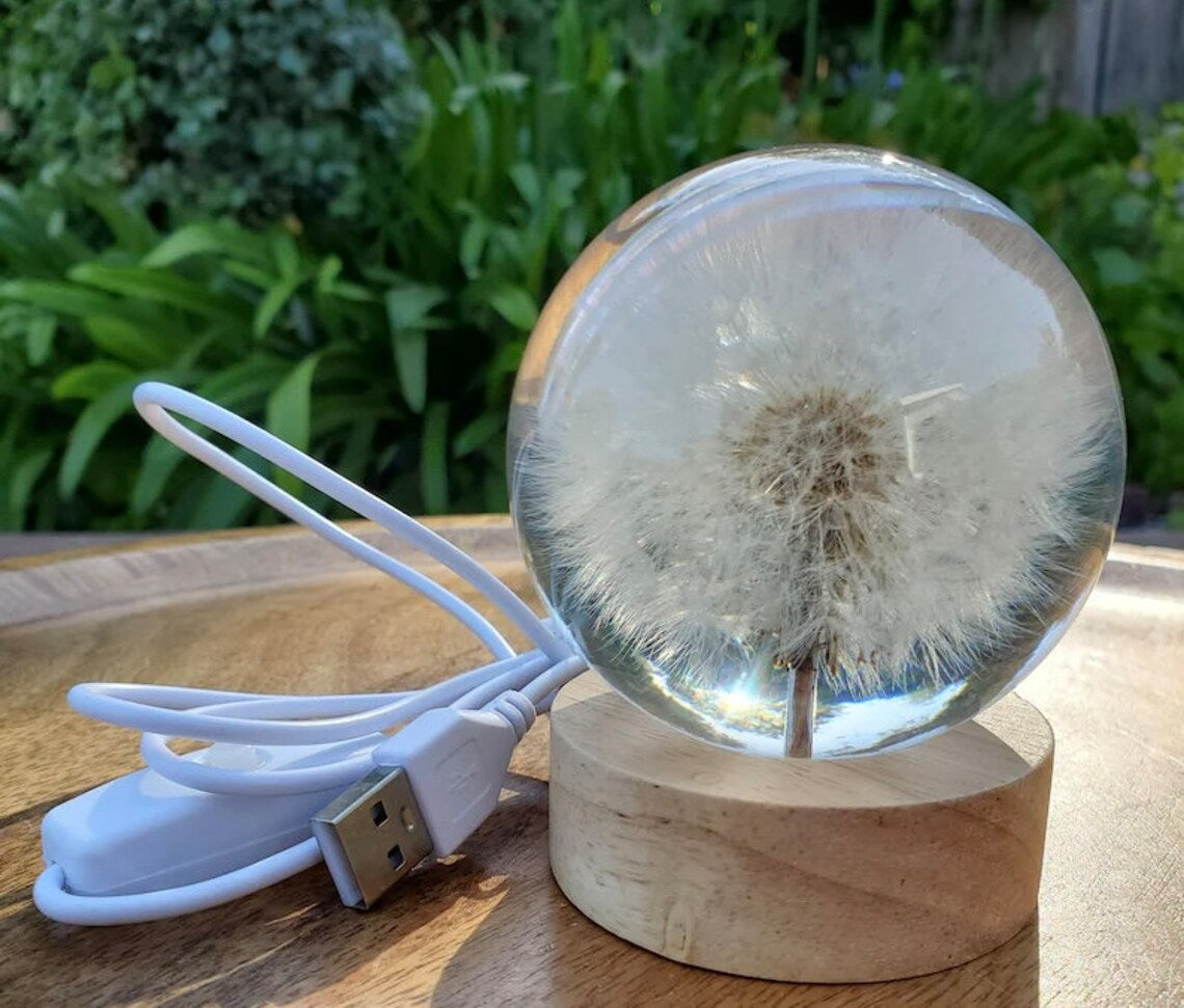 Real Dandelion Ball Resin Night Light