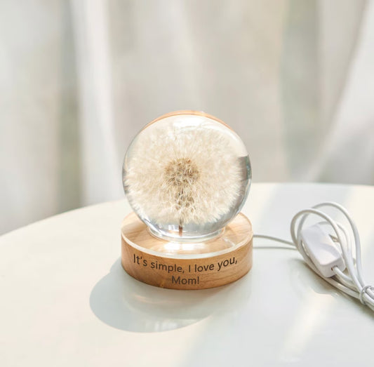 Real Dandelion Ball Resin Night Light