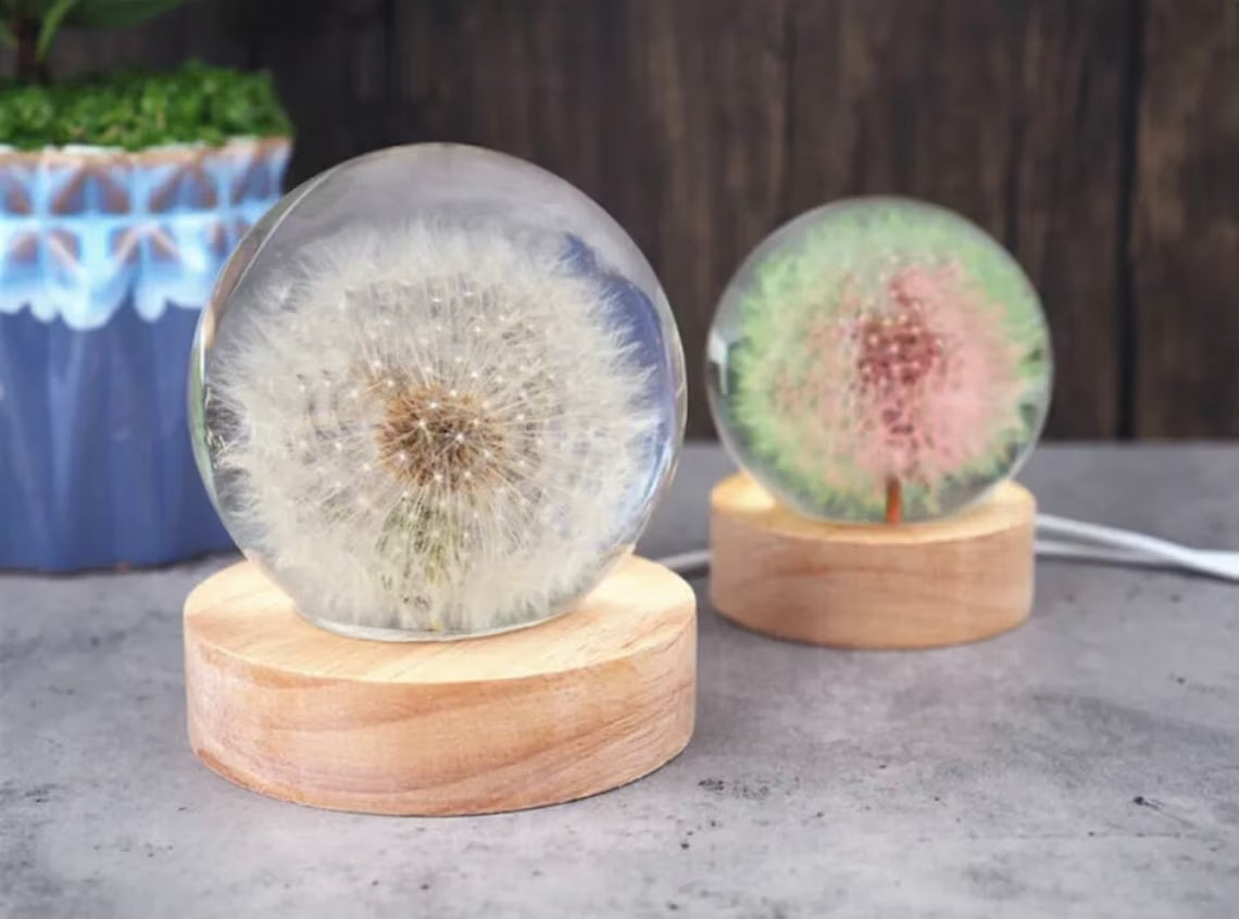 Real Dandelion Ball Resin Night Light