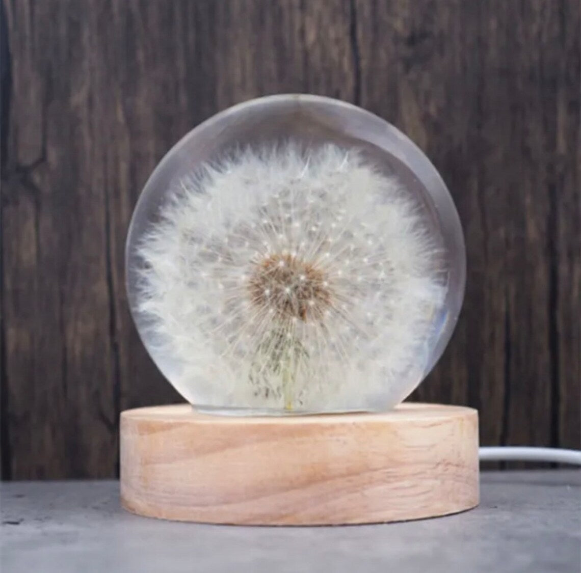 Real Dandelion Ball Resin Night Light