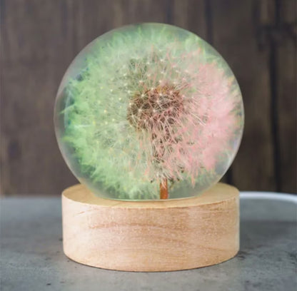 Real Dandelion Ball Resin Night Light