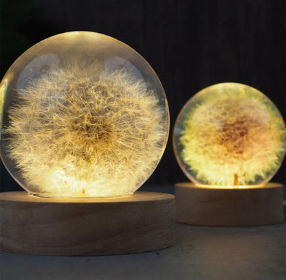 Real Dandelion Ball Resin Night Light