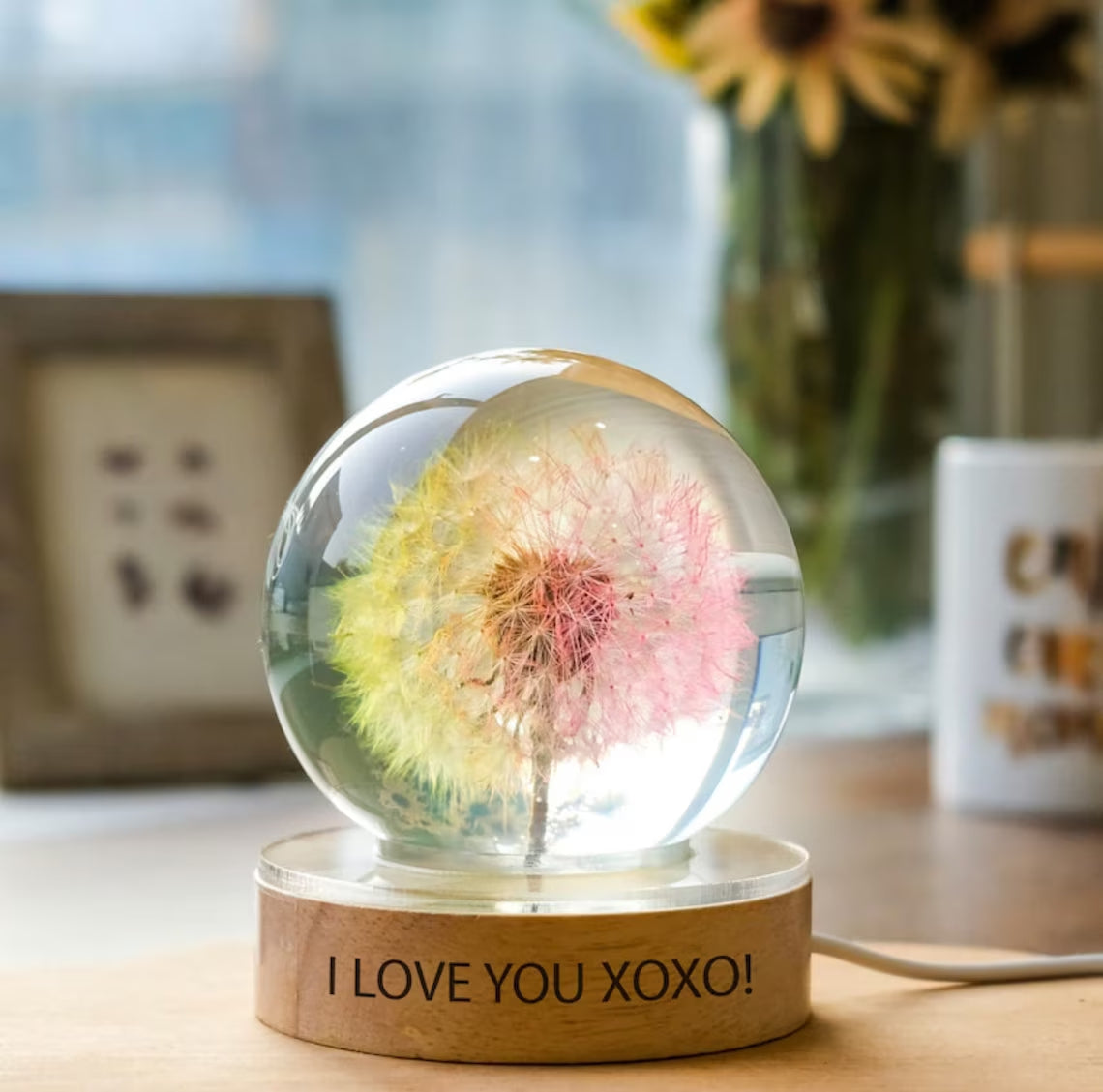 Real Dandelion Ball Resin Night Light