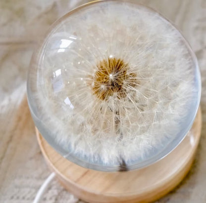 Real Dandelion Ball Resin Night Light