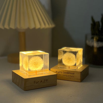 Real Dandelion Cube Resin Night Light